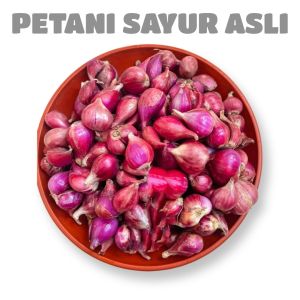 Bawang merah berebes asli 1 kg / bawang merah premium+ kardus