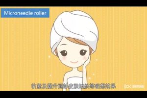 Derma Roller 540 Microneedle Roller Therapy Skin Micro Needle Derma Roller🔥SG LOCAL STOCK🔥