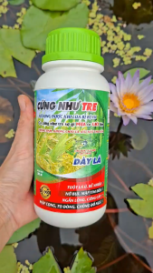 [THIEN THINH SHOP] Phân bón lá chống đổ ngã lúa nếp CỨNG NHƯ TRE chai 500ml