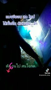 ชุดล่อแมงจีซอน #ดักแมงกะชอน #ดักแมงอีซอน  #ล่อแมลง ครบชุดพร้อมใช้งาน