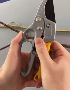 กรรไกรตัดกิ่งไม้ พรุนกิ่งใหญ่ ประหยัดความพยายาม