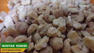 BIOCHO Minyak Buah KerasNatural Nut Fruit Hair OilNourish Dry Hair Reduce Frizz For Adult & Baby