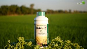 Gramma2 1 ลิตร ปุ๋ยน้ำ ตราจอมยุทธ์ เสริมสร้างการเจริญเติบโตของพืช ธาตุอาหารรอง