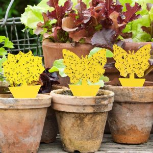 Garsum Fruit Fly Sticky Trap for Indoor and Outdoor Fungus Gnat Killer for HouseplantMosquitos Flying Insect White Flies
