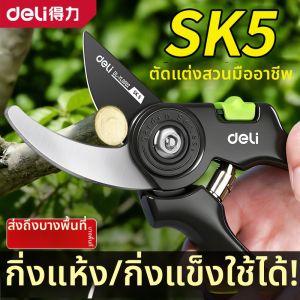 deli | Kéo Cắt Cành Thô cho Việc Làm Vườn và ghép Cây