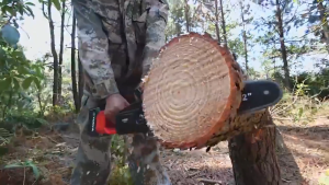 REAIM Gergaji Mesin Mini 12 Inch 598V - Chainsaw Cordless dengan 2 Baterai & Charger Bebas Perawatan & Potong Cepat