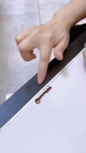 Double Tape Perekat Transparent No Trace Washable LAKBAN BENING / LAKBAN ANTI AIR /  lakban double tape kuat / double tape anti air kuat MLH  F14