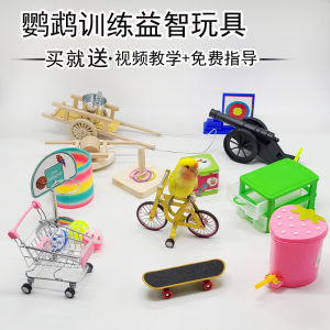 Parrot Educational Toys Relieving Boredom Interactive Training Props Bird Training Supplies Xuanfeng Tiger Skin Peony Bicycle Basketball