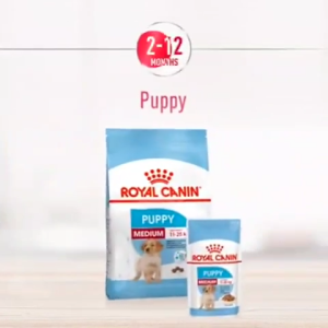 [16kg] Hạt Cho Chó Con Giống Vừa Royal Canin Medium Puppy