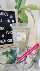 1 Kilogram 100% Pure Natural Ampalaya (Bittergourd) Powder - Fresh Natural Organic
