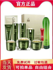 GeohoS Skincare Set Sunscreen Foundation Lipstick Moisturizing Hydrating Normal Specification Basic Packaging