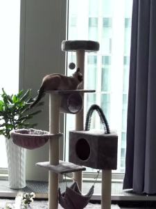 GREENPETS Cat Condo Cat Tree Tower House Cat Climbing Frame Large Cat apartment Cat Grabbing Board Cat Villa