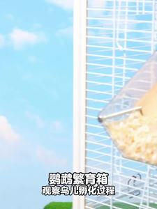 YUEXIAOMENG | 2-in-1 Parrot Breeding Box Externally Hangable