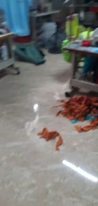 Áo croptop tay dài cổ tròn HILTION chất vải DA CÁ COTTON 100% được làm tại xưởng không qua trung gian mẩu thiết kế hiện đại sang chảnh phù hợp mặc nhà mặc cafe mặc dạo phố freesize tầm 47-58kg tùy chiều cao Thời Trang Xuyên Việt