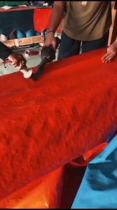 Terpal Multifungsi A5 Warna Biru/Orange Ukuran 4x6 Meter Bahan Korea