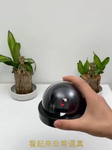 Simulation anti-theft surveillance camera with infrared light flash probe household anti-theft