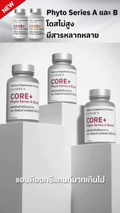 [Pre-Order] LIVMORE Phyto Series B | วิตามินชะลอวัย Fisetin + Spermidine กู้เซลล์เสื่อม (Autophagy) ปรับฮอร์โมน