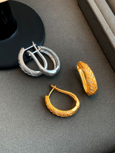 Retro Court Style Woven Metal Earrings for Women Brushed Craft Small Geometric Patterned Hoops Statue Brand Fashion Jewelry