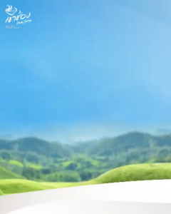 Khao Shong Coffee Mix 3 in1 Cappuccino (16.3g x 25sticks)