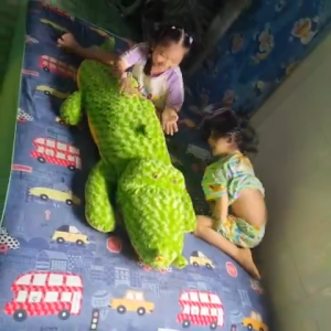 Gấu Bông Cá Sấu Khổng Lồ Siêu Mềm 155cm | Ôm Ngủ Cực Đã Nhìn Là Muốn “Bế Về Nuôi” 🐊💚