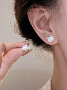 Sparkling Firework Style Luxe Zircon Earrings S999 Silver