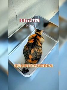 AJPET Cat Litter Box Stainless Steel Cat Litter Box | Extra Large For Multiple Cat | Toilet Tandas Kucing 不锈钢猫砂盆