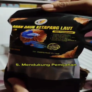OLAHAN DAUN KETAPANG LAUT HASIL FERMENTASI SIAP PAKAI BUAT IKAN CUPANG DAN CHANA