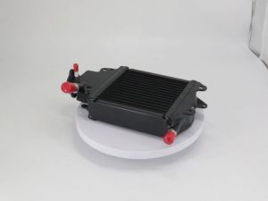 Motorcycle Radiator Cooling Water Tank Assembly For Honda Click125 Click150 Engine Water Cooler Replacement Part