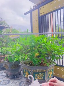 Bộ ba lỗ hình in chú mèo đi tàu BENTY BT091 quần áo trẻ em cao cấp thoáng mát mềm mịn cho bé