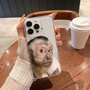 Funny Meme Monkey Face Phone Case For iPhone 17 Air 16E 16 15 14 11 Pro Max Plus 13 12 Mini 8 7 X Transparent Shockproof Cover
