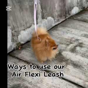 Ona & Co Air Flexi Leash