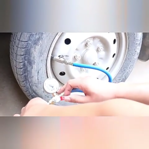 Car Tire Inflator Gauge Silicone Oil Pressure Gauge with Explosion-Proof Hose