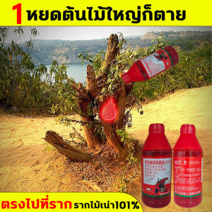 ด้วยสารกำจัดกอไผ่ ยาฆ่าต้นไม้ ผงกำจัดต้นไม้ พร้อม ให้กำจัดวัชพืช ต้นไม้ และไผ่ทุกชนิด ไม่ทำลายดิน ยาฆ่าไผ่ สารกำจัดต้นไม้ ผงฆ่าต้นไม้ ผงกำจัดกอไผ่ ปุ๋ยกำจัดกอไผ่ ยาฆ่าหญ้า ยาฆ่าไม้ไผ่ ผงฆ่ากอไผ่ กำจัดกอไผ่ สารกำ