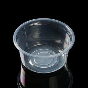 Commercial Disposable Fruit and Dessert Bowl