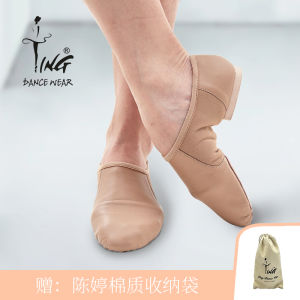 Chen Ting Dance Teachers Shoes Low Heel Jazz Shoes Female Elastic Mesh Surface Soft Bottom Practice Shoes Black Dancing Shoes Adult
