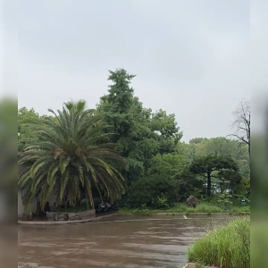 ร่มขนาดใหญ่ด้ามยาว พับเก็บอัตโนมัติ ร่มด้ามยาว ทนต่อพายุ ร่มมีเคสกันUV มีปลอกเก็บน้ำ ร่มด้ามตรง สำหรับ 2-3