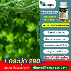 Mix 7 น้ำมันสกัดเย็น 7 ชนิด Mix7 Oil มิกซ์ Zencore เซนคอร์ สกัดเย็น rai ไร่ งา รำข้าว มะพร้าว กระเทียม มะระขี้นก เมล็ดองุ่น เบาหวาน หัวใจ ความดัน ไขมัน น้ำตาล ของแท้ 1 ขวด 60 แคปซูล