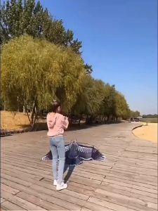 Large Eagle Kite 165cmx71cm Novelty Animal Kites with Free 30M Kite Line Outdoor Beach Garden Sport Games Mga Saranggola Random Color UMISKY