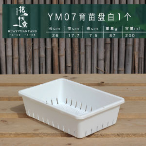 Succulent Plant Seedling Leaf More than Strip Specifications Florals Fruit and Vegetable Seeding Stuffy Plate Thickened Plastic Flower Pot Storage Basket