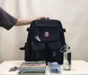 Balo Ulzzang Hàn Quốc Thời Trang HARAS HR284