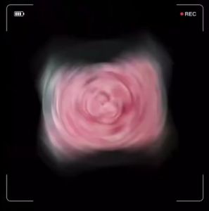 แหวนกาวแหวนรอง ต่อขนตา 10 ชิ้น แหวนใส่สี 1 ชุด