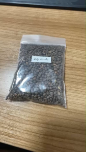 ผักบุ้งจีน 100 กรัม เมล็ดผักบุ้งจีน งอกดี น้ำหนักเยอะ ลำต้นเเข็งแรง