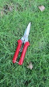 【TL】Garden Scissors Straight Head Pruning Shears Non-slip Handle Stainless Steel Outils Manuels Household Bonsai Pruing Scissors