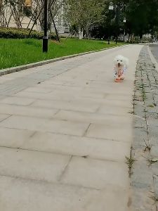Giày Chó Mèo có dây rút chống tuột (Bộ gồm 4 chiếc) - Love Pets Shop