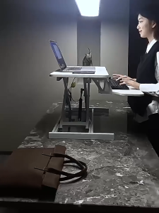 Height-Adjustable Lifting Standing Desk Elevated Rack Workbench Computer Desk Foldable Office Desk