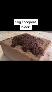 cocopeat block 5 kg mengembang menjadi 75 L - media tanam hidroponik