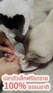 QQPET ขนมแมว ปลาแห้ง ปลาตัวเล็กฟรีซดราย 100% ธรรมชาติ อร่อย กรอบ บำรุงขนและสุขภาพสัตว์เลี้ยง