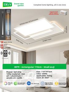 DGY | Full Spectrum Eye-Protective Modern Ceiling Light