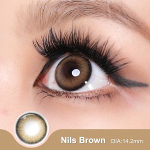 Magister Softlens 14.2mm: Gaya Aesthetic & Kualitas Korea