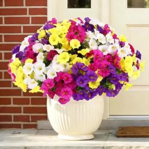 1/3Pcs Artificial Fake Silk Morning Glory Flower Green Eucalyptus Plant UV Protection for Porch Courtyard Garden Home Decoration